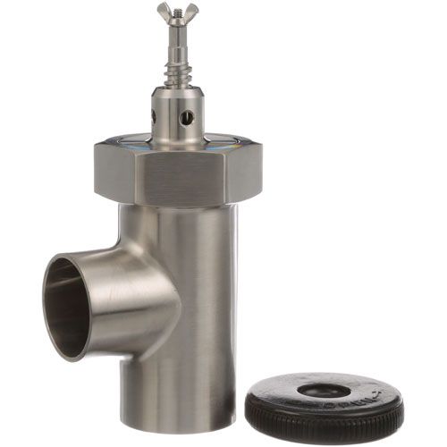 Legion 440019-01 2" Draw-Off Valve