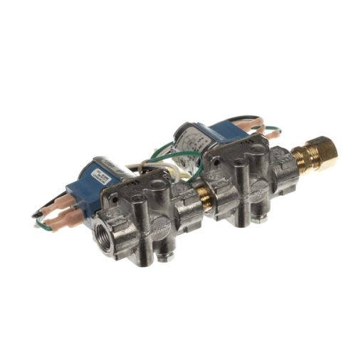 Southbend 1194597 Dual Solenoid Valve - 120V